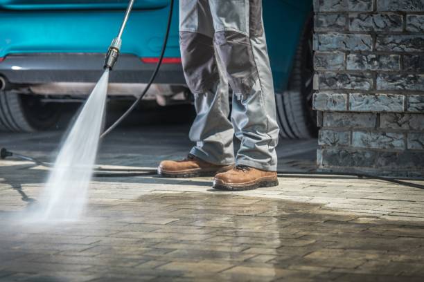 Best Gutter Cleaning  in Port Chester, NY